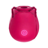 Petal Pleasure - Desert Rose